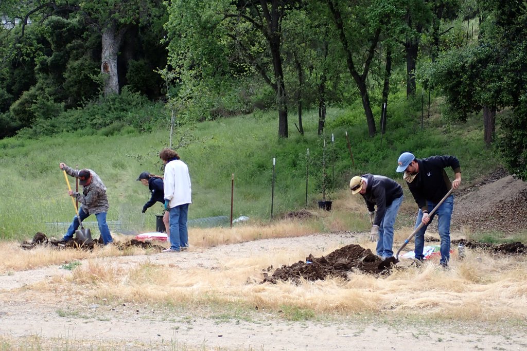 Digging the holes.